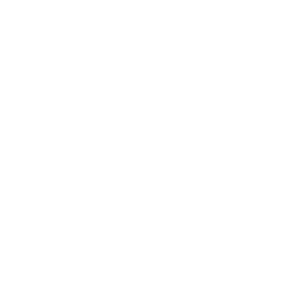 Vertebra Studio Logo